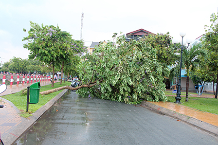 Cơn mưa, gió mạnh vào đầu tháng 5/2015 làm cây xanh tại khu vực Hồ Xáng Thổi bị đổ ngã, cản trở lưu thông trên đường