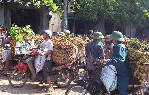 Không để tình trạng ùn tắc giao thông trong mùa thu hoạch vải thiều năm 2015