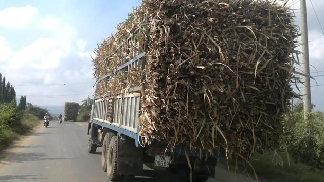 Con đường mới giúp nhân dân các tỉnh miền trung và Tây Nguyện vận chuyển hàng hóa thuận lợi hơn.