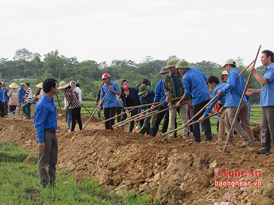 Trong buổi sáng ở xã Nghĩa Lâm và Nghĩa An   đoàn viên thanh niên đã làm được 350m đường nội đồng và đổ bê tông xóm.