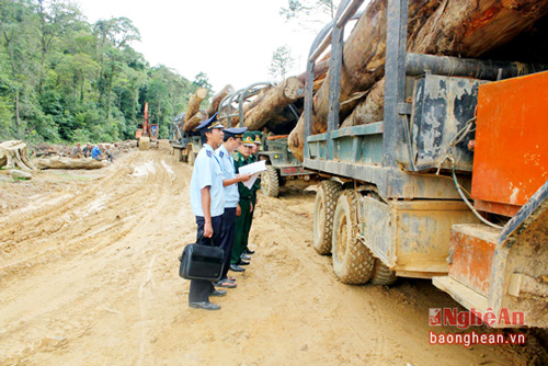 Đây là một trong những nội dung quan trọng tại buổi làm việc của Phó Thủ tướng Chính phủ Trương Hòa Bình với tỉnh Nghệ An chiều 11/6.