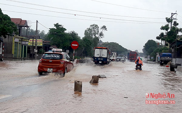 * Tỉnh lộ 537B chạy qua địa bàn huyện Quỳnh Lưu có tổng chiều dài gần hơn 10km. Trận mưa to kéo dài suốt hơn 1 ngày qua khiến tuyến tỉnh lộ này bị ngập nước. Khu vực ngập sâu nhất là đoạn qua xã Quỳnh Bảng và Quỳnh Lương với chiều dài ngập hơn 1 km. 