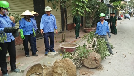 Thu dỡ toàn bộ cây cảnh trên vỉa hè gây mất mỹ quan đô thị