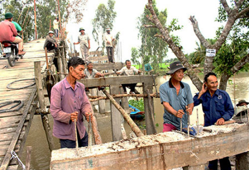 Chú Trần Văn Thum (hàng đầu, bìa trái), Trưởng Ban đại diện Phật giáo Hòa Hảo xã Đông Bình tích cực vận động người dân, xây dựng cầu ở địa phương