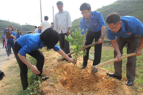 Ðoàn Thanh niên Bộ hoạt động tình nguyện tại Hà Giang